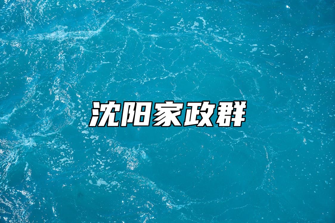 沈阳家政群