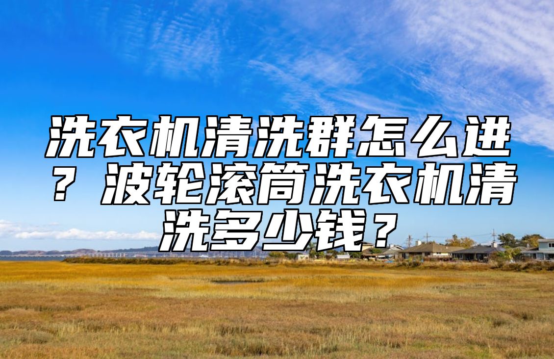 洗衣机清洗群怎么进？波轮滚筒洗衣机清洗多少钱？