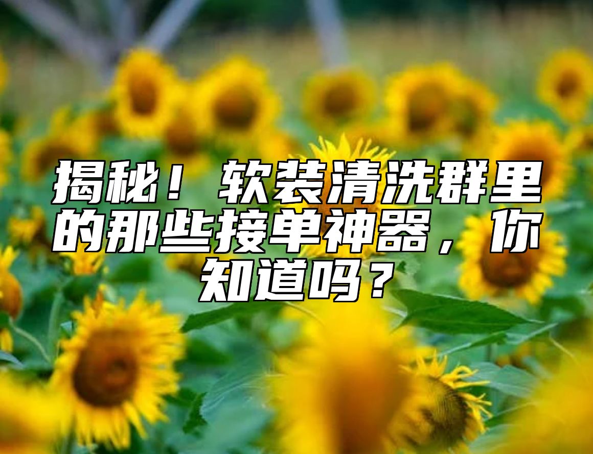 揭秘！软装清洗群里的那些接单神器，你知道吗？