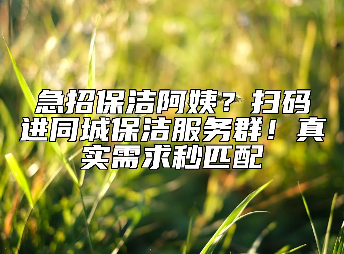急招保洁阿姨？扫码进同城保洁服务群！真实需求秒匹配 