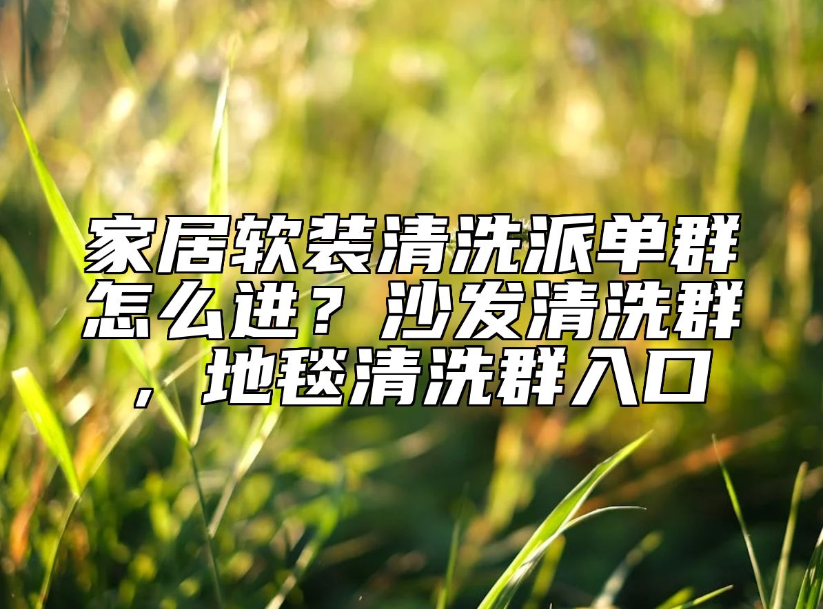 家居软装清洗派单群怎么进？沙发清洗群，地毯清洗群入口 