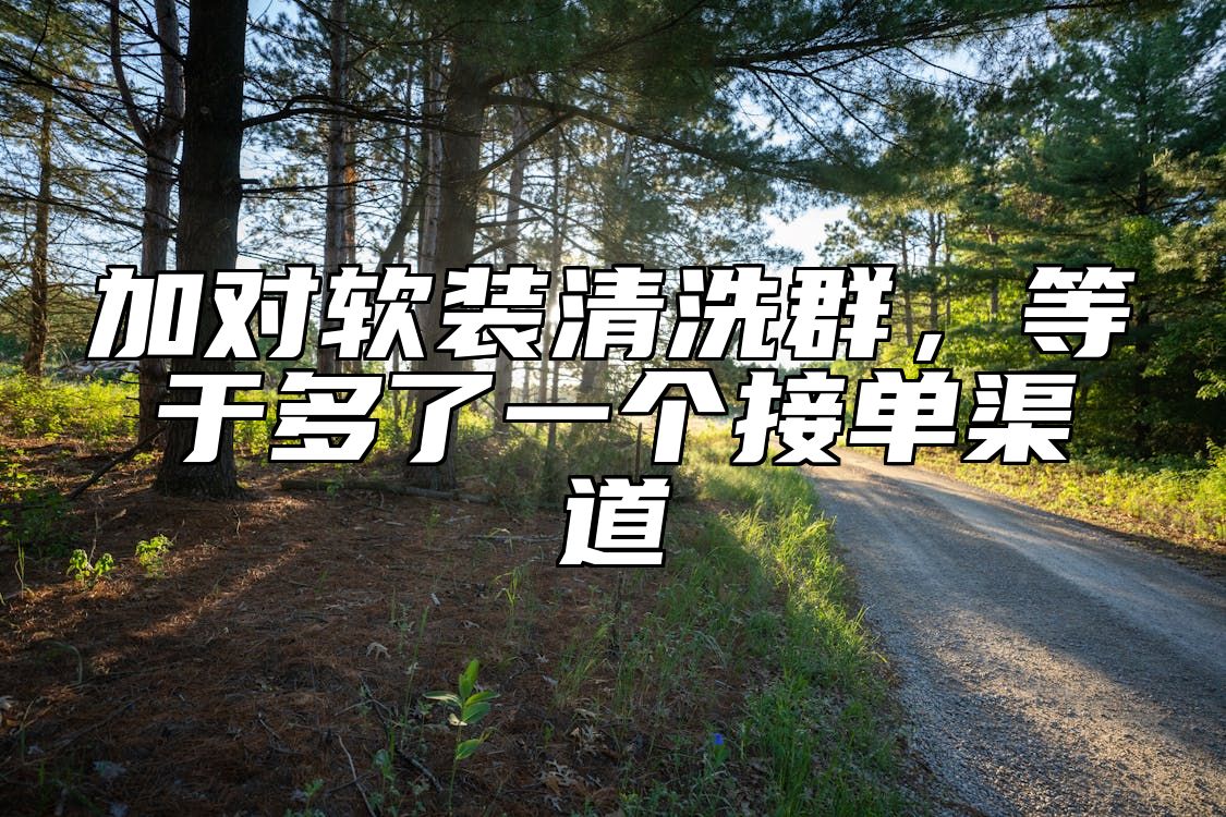 加对软装清洗群，等于多了一个接单渠道