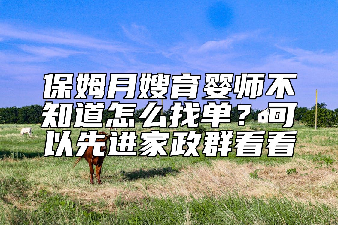 保姆月嫂育婴师不知道怎么找单？可以先进家政群看看