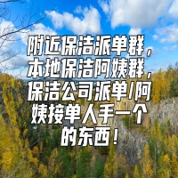 附近保洁派单群，本地保洁阿姨群，保洁公司派单/阿姨接单人手一个的东西！