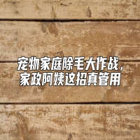 宠物家庭除毛大作战，家政阿姨这招真管用