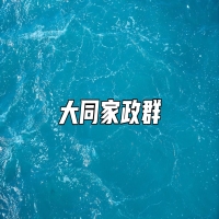 大同家政群